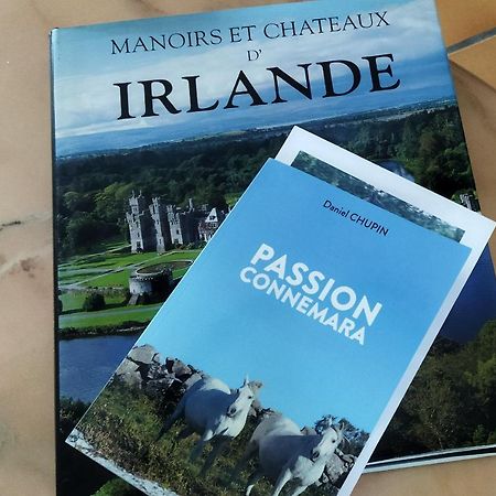Maison De Campagne Au Coeur D'Un Elevage De Poneys Connemara Le Landreau Екстериор снимка